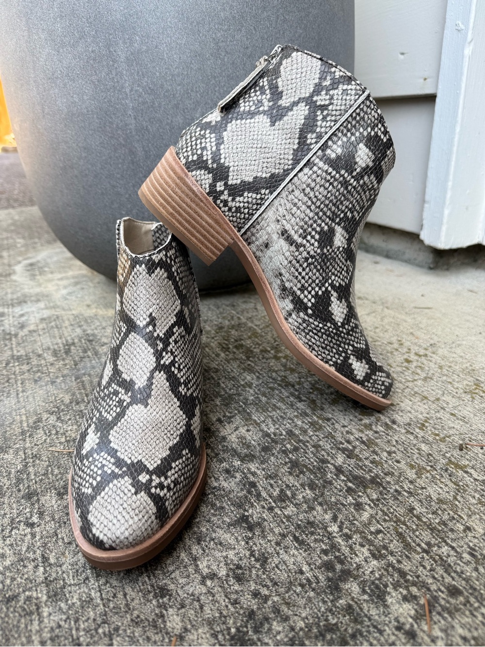 NIB Dolce Vita Women’s Snake-Print Ankle Boots in Black & Cream - 8.5